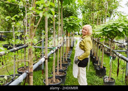 In einer Gärtnerei steht ein älterer Gärtner zwischen Pflanzen mit Bewässerungssystem Stockfoto