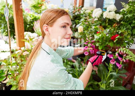 Die junge Frau arbeitet als Kindergärtnerin mit dem Barcode-Scanner im Blumenladen Stockfoto