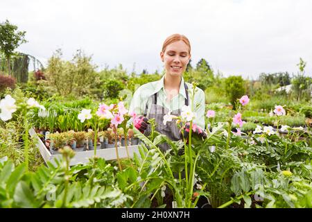 Gärtner Lehrling zwischen Blumen und Pflanzen in der Gärtnerei kümmert sich um die Pflanzen Stockfoto