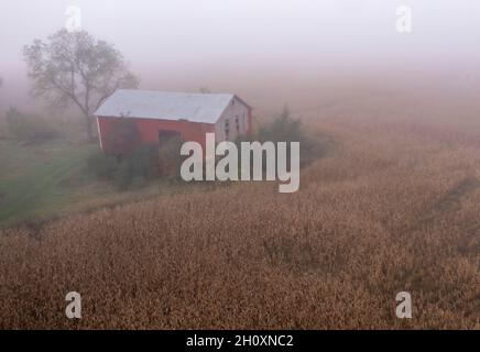 Martin, Michigan - eine Luftaufnahme einer alten Scheune neben einem Kornfeld bei nebligen Wetter. Stockfoto