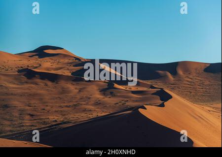 Wirbelnde Grat-Linien aus roten Sanddünen in der Sossusvlei. Namib Naukluft Park, Namib Desert, Namibia. Stockfoto