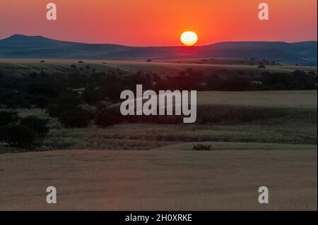 Die Sonne geht über Wiesen und Hügeln im Torra Conservancy unter. Damaraland, Kunene, Namibia. Stockfoto