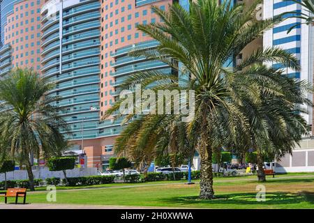 Stadtbild mit landschaftlich gestaltetem grünen öffentlichen Park mit Palmen gegenüber modernen Wohngebäuden in Abu Dhabi, VAE Stockfoto