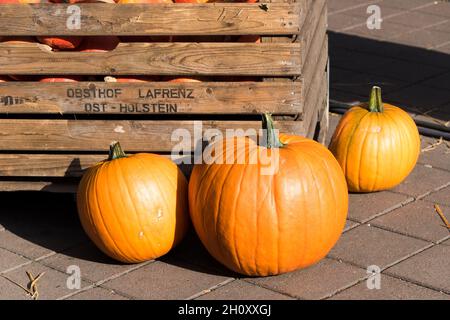 Cürbisse on a Herbstmakt im Oktober Stockfoto