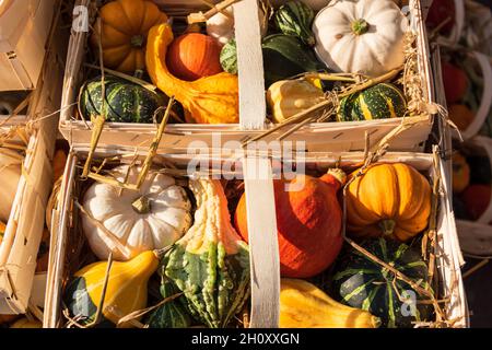 Cürbisse on a Herbstmakt im Oktober Stockfoto