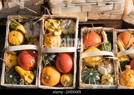 Cürbisse on a Herbstmakt im Oktober Stockfoto