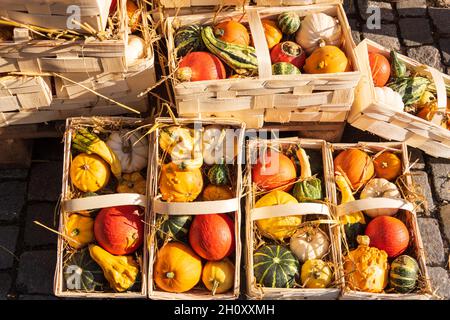 Cürbisse on a Herbstmakt im Oktober Stockfoto