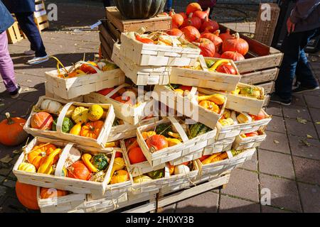 Cürbisse on a Herbstmakt im Oktober Stockfoto