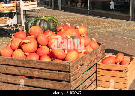 Cürbisse on a Herbstmakt im Oktober Stockfoto