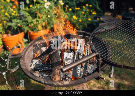 Birke Brennholz im Grill - Kochen Fleisch auf einem Feuer in der Hinterhof-Party Stockfoto