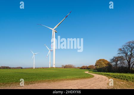 Windpark auf einem Feld in Schleswig-Holstein im Herbst Stockfoto