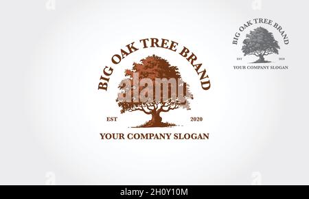 Big Oak Tree Vektorlogo. Dieses Logo steht für Kraft, Kraft, Langlebigkeit, Freiheit, Fruchtbarkeit, Hoffnung und Kontinuität. Geeignet für Grafik-Design-Studio. Stock Vektor