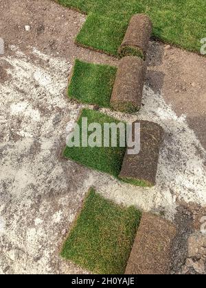 Rollrasen Vorbereitung für das Legen. Verdrehte Erdrollen mit Gras auf dem Boden Stockfoto