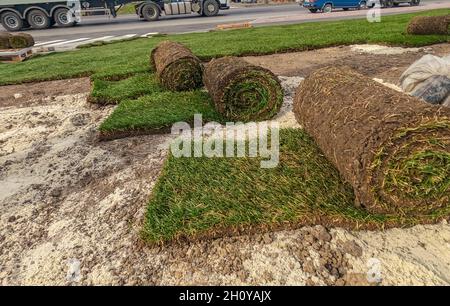 Rollrasen Vorbereitung für das Legen. Verdrehte Erdrollen mit Gras auf dem Boden Stockfoto