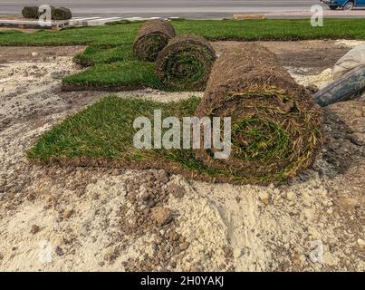 Rollrasen Vorbereitung für das Legen. Verdrehte Erdrollen mit Gras auf dem Boden Stockfoto