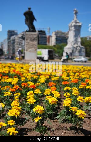 Schöne gelbe Blumen an der Straße verschwommen Statuen Hintergrund Stockfoto