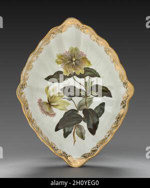 Rautenform aus Dessert Service: Große blühende St. John's Wort, c. 1800. Derby (Crown Derby Periom) (Großbritannien). Porzellan; insgesamt: 5.6 x 30.5 x 23.7 cm (2 3/16 x 12 x 9 5/16 Zoll). Jedes Gericht ist mit erkennbaren Pflanzen geschmückt, deren Namen sowohl in lateinischer als auch in englischer Sprache auf dem Sockel eingeschrieben sind. Die Identifizierung der Blüten wurde erst im späten 18. Jahrhundert üblich, als ein einzelnes Porzellanstück mit einer Art verziert wurde und Blumen zusammen mit Blättern, Stielen, Samenkapseln und Wurzeln dargestellt wurden. All dies spiegelt Carolus Linnaeus’ jüngste Erfindung eines wissenschaftlichen M wider Stockfoto