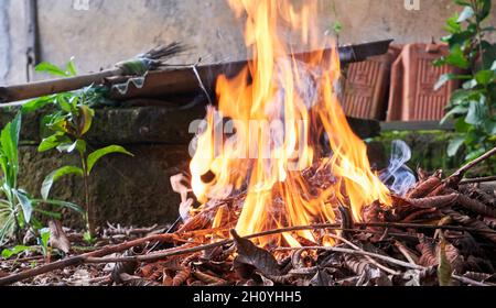 Brennende trockene Blätter im Hof. Großes Feuer. Stockfoto