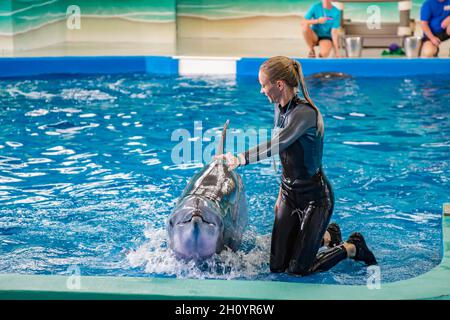 Trainer, die während der Show im Ocean Adventures Marine Park in Gulfport, Mississippi, mit Delfinen arbeiten Stockfoto