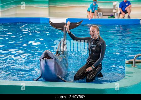 Trainer, die während der Show im Ocean Adventures Marine Park in Gulfport, Mississippi, mit Delfinen arbeiten Stockfoto