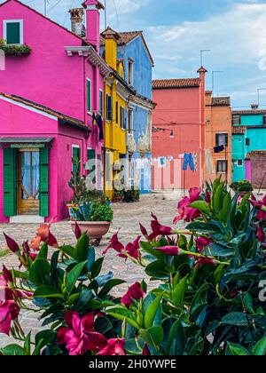 Verschwommener Blick auf Burano bunte Häuser mit dekorativen Blumen im Vordergrund, Venedig, Italien Stockfoto