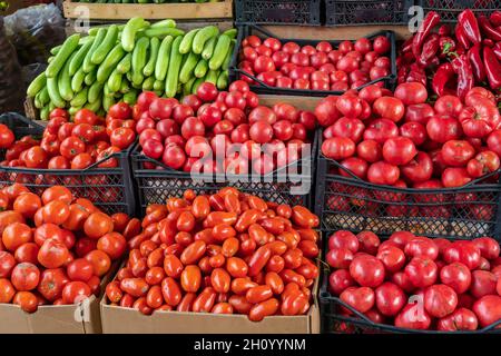 Nahaufnahme von verschiedenen Sorten von reifen Tomaten in Schachteln und einer Schachtel Gurken, Paprika auf dem Markt. Verkauf von saisonalem Gemüse Stockfoto