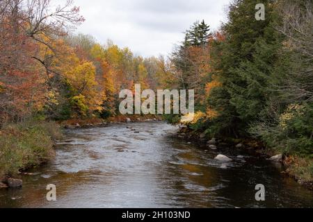 Blick auf den Sahandaga River in den Adirondack Mountains, NY, Wildnis im Herbst mit Herbstlaub und Farbe. Stockfoto