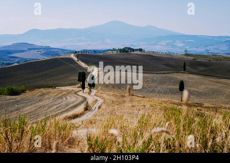 San Quirico d'Orcia Podere Belvedere Villa in der Region Val d'Orcia in der Toskana, Italien ein Mann und eine Frau mittleren Alters besucht während einer Autoreise die Region Toscany auf den goldenen Hügeln Italiens. Hochwertige Fotos Stockfoto