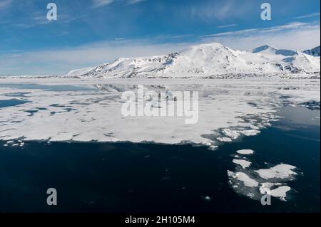 Eis schwimmt auf arktischen Gewässern vor dem Monaco Glacier. Monaco Glacier, Spitzbergen Island, Svalbard, Norwegen. Stockfoto