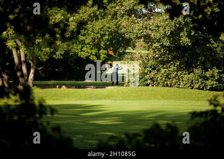 Mann, der an einem sonnigen Tag Golf spielt, durch Bäume geschossen. Stockfoto