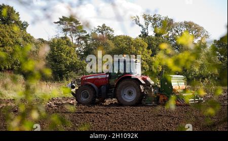 Großer roter Traktor, seitlich, Pflügen eines Feldes. Stockfoto