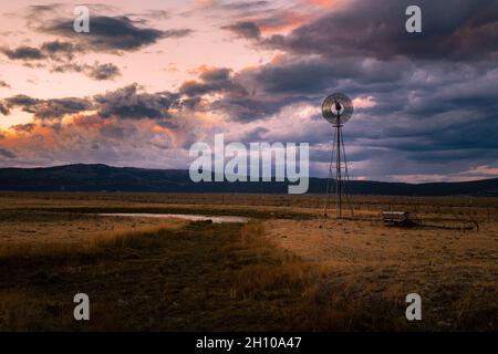 Aermotor-Windpumpe in Lassen County, Kalifornien, USA. Es liegt in einem Feld nur wenige Meilen südlich der Gemeinde Madeline. Stockfoto