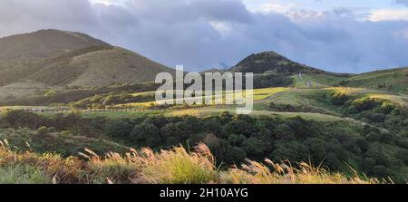 Qingtiangang, Taiwan-15. Oktober 2021: Die natürliche Quelle von alpinen Gräsern befindet sich im Shangshan in Taipei City, Taipei City, Taiwan Stockfoto