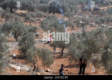 Nablus, Palästina. Oktober 2021. Palästinensische Bauern sahen, wie sie vor dem Tränengas, das die israelische Armee während der Olivenernte abfeuerte, wegliefen. Die israelische Armee feuerte Tränengas auf palästinensische Bauern in der Nähe des Außenpostens von Evitar, während sie im Dorf Beita, südlich von Nablus im Westjordanland, Oliven pflückten. Kredit: SOPA Images Limited/Alamy Live Nachrichten Stockfoto