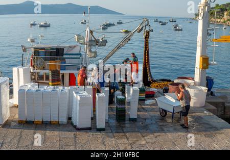 Moscenicka draga, Kroatien - 13. August 2021 : Fischer, die am frühen Morgen im Hafen von Moscenicka draga den Fang aussortieren. Stockfoto