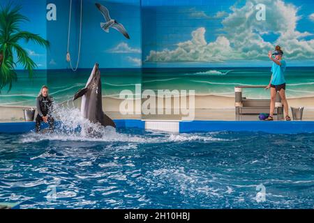 Trainer, die während der Show im Ocean Adventures Marine Park in Gulfport, Mississippi, mit Delfinen arbeiten Stockfoto