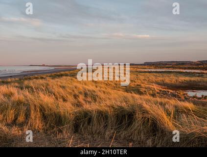 Ein Blick entlang der Norfolk Küste bei Titchwell mit den Sümpfen und Küstenstreifen. Norfolk, Großbritannien Stockfoto