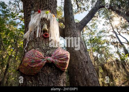 Hula Girl Tree - in der Nähe von Edisto Island, South Carolina, USA Stockfoto