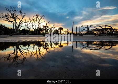 Sonnenuntergänge am Driftwood Beach - Jekyll Island, Georgia, USA Stockfoto