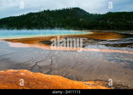 Bunte Bakterienmatten in der Grand Prismatic Hot Spring, Midway Geyser Basin, Yellowstone National Park, Wyoming Stockfoto