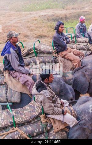 KAZIRANGA, INDIEN - 30. JANUAR 2017: Mahouts mit ihren Elefanten im Kaziranga-Nationalpark. Stockfoto