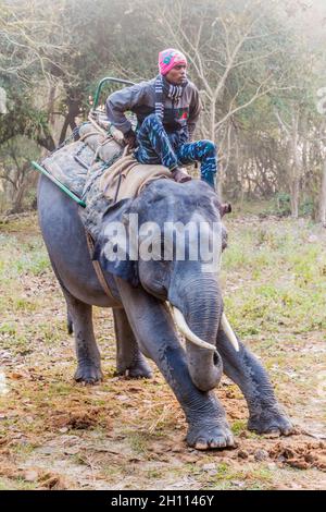 KAZIRANGA, INDIEN - 30. JANUAR 2017: Mahout mit seinem Elefanten im Kaziranga-Nationalpark. Stockfoto