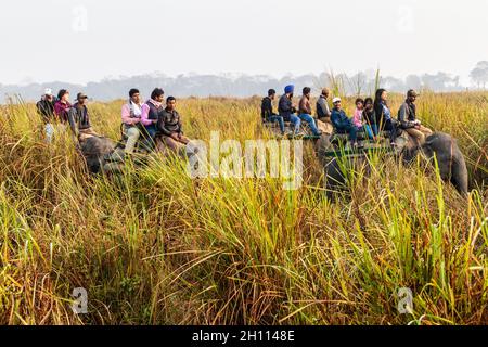 KAZIRANGA, INDIEN - 30. JANUAR 2017: Touristen während der Elefanten-Safari im Kaziranga National Park, Indien Stockfoto