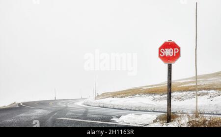 Stoppschild an einer Kreuzung von Bergstraßen bei Schneesturm, selektiver Fokussierung, Colorado, USA. Stockfoto