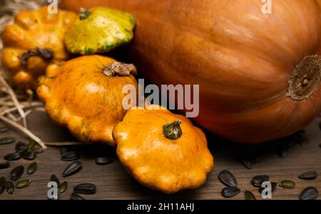 Nahaufnahme mit Komposition von buntem Gemüse in der Erntezeit. Kürbis, Zucchini, Rüben- und Sonnenblumenkerne. Stockfoto