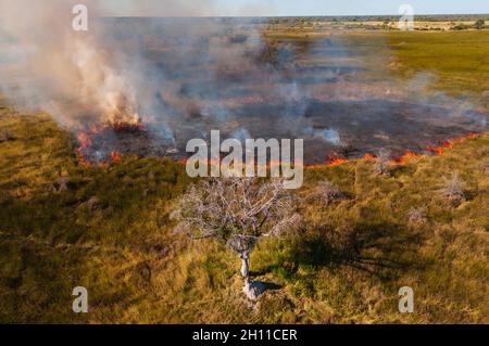 Luftaufnahme eines Buschfeuers im Okavango Delta. Okavango Delta, Botswana. Stockfoto