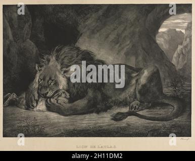 Löwe des Atlasgebirges, 1829. Eugène Delacroix (Französisch, 1798-1863). Lithographie; Stockfoto