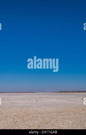 Riesige Salzpfannen unter einem intensiv blauen Himmel. Kudiakam Pan, Nxai Pan National Park, Botswana. Stockfoto