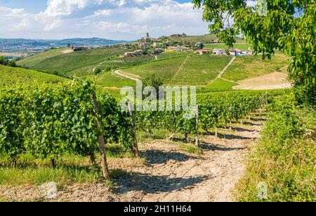 Wunderschöne Hügel und Weinberge rund um Barbaresco Dorf in der Langhe Region. Cuneo, Piemont, Italien. Stockfoto