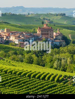 Das schöne Dorf Barolo und seine Weinberge an einem Sommernachmittag, in der Region Langhe im Piemont, Italien. Stockfoto